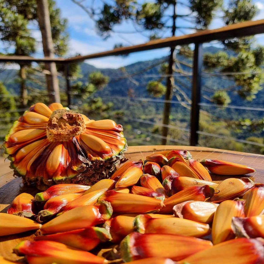 Chalet Amores Da Serra Urubici